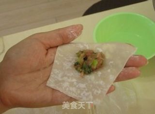 Wonton recipe