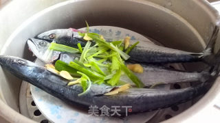 Eat Fresh Fish Steamed--steamed Spanish Mackerel recipe