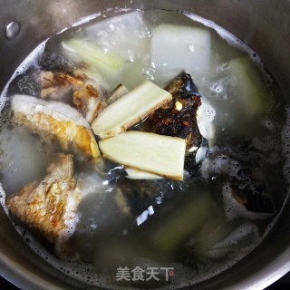 Winter Melon Fish Head Soup recipe