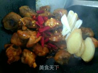 #御寒美食#yellow Braised Chicken recipe