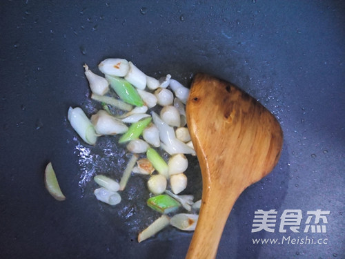 Braised Sea Cucumber in Sauce recipe