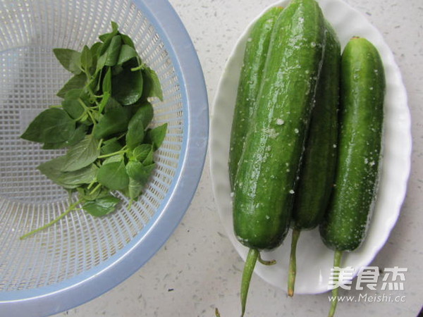 Nepeta Mixed with Cucumber recipe