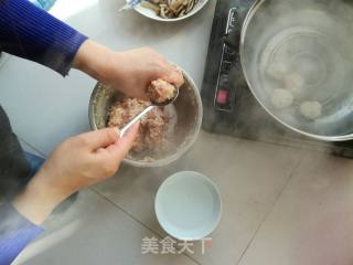 Mushroom Meatball Soup recipe