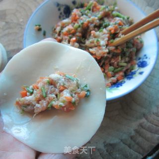 Fried Dumplings recipe