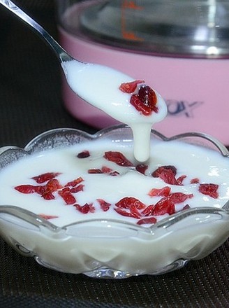 Cranberry Yogurt recipe