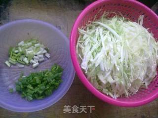 Fried Rice with Cabbage, Shrimp and Egg recipe