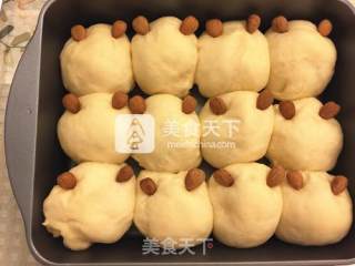 #aca烤明星大赛# Squeezing The Cat Bread recipe