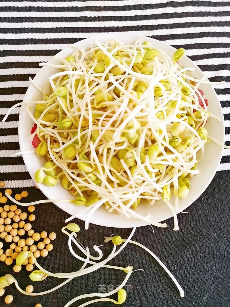 Homemade Soybean Sprouts recipe