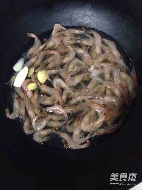 Brine Shrimp recipe