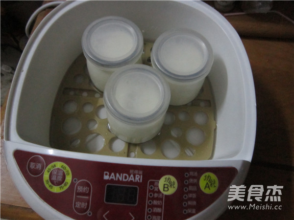 Electric Cooker for Making Yogurt recipe