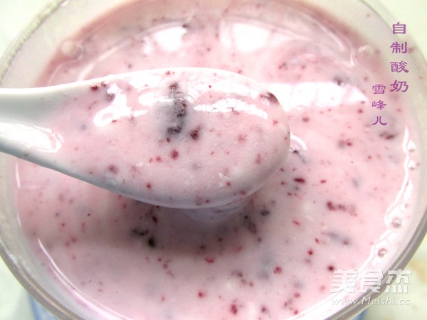 Homemade Mulberry Yogurt recipe