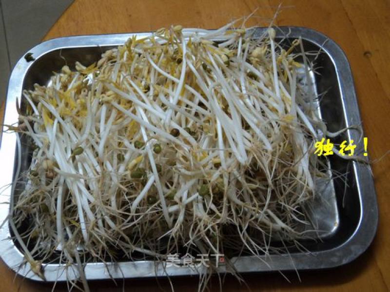 Simple and Safe to Send Mung Bean Sprouts Yourself recipe