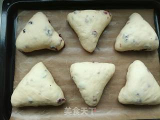 Cranberry Cheese Soft European recipe