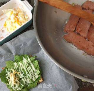 Quick Pocket Sandwich recipe