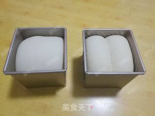 Water Cube Honey Small Toast recipe