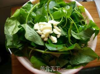 Stir-fried Sweet Potato Leaves with Garlic recipe