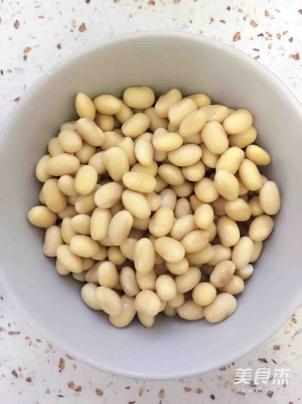 Nut Soy Milk recipe