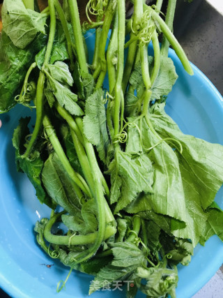 Stir-fried Melon Head recipe