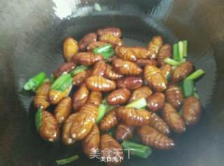 Stir-fried Cocoon Pupa recipe