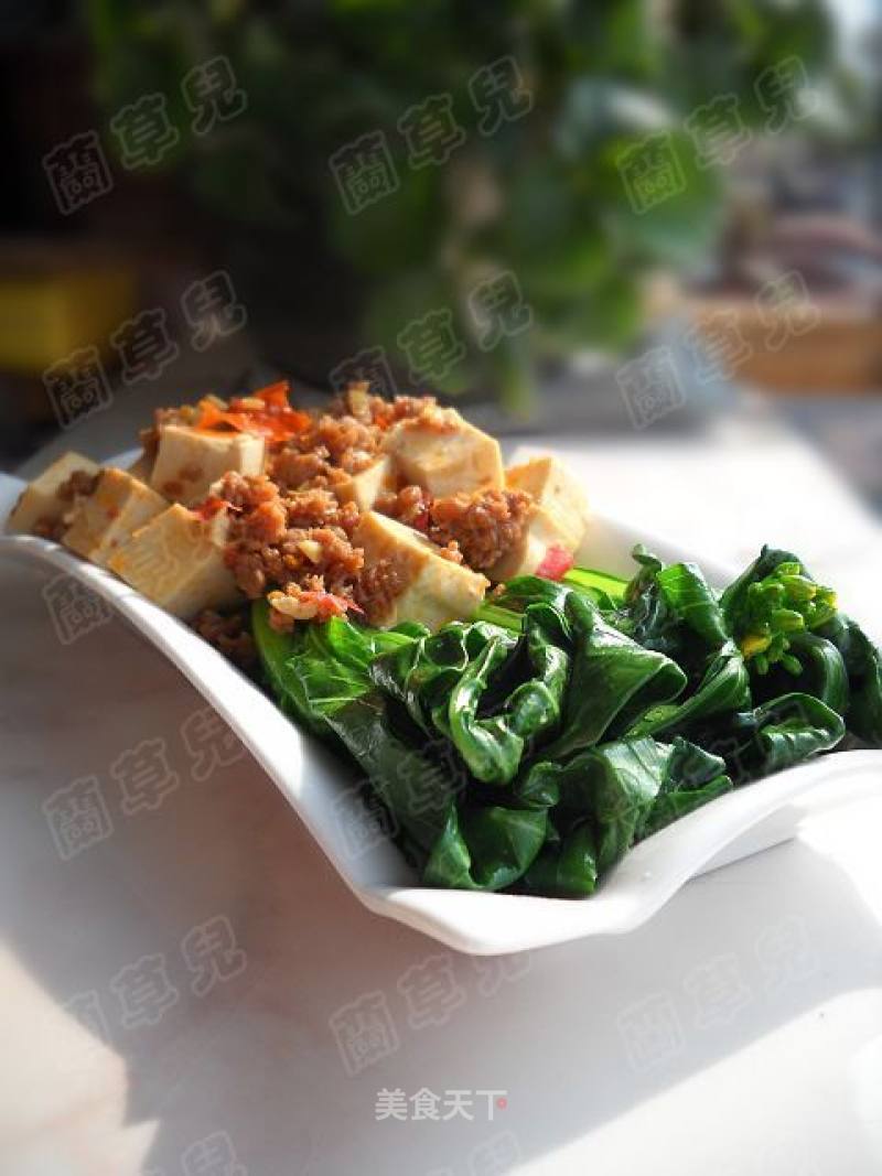 Choy Sum Minced Pork Tofu recipe