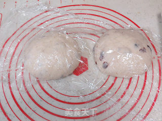 Rich and Rich Taste~【whole Wheat Cranberry Cheese Soft European】 recipe