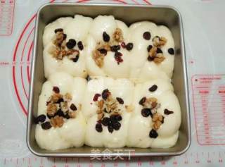 Cranberry Walnut Bread recipe