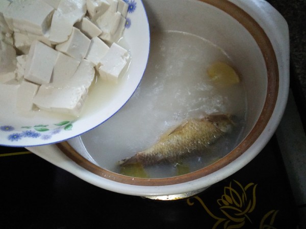 Crucian Tofu Soup recipe