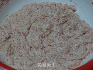 Soup Xiaolongbao-24 Pictures Explain The Authentic Xiaolongbao Making recipe