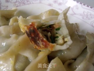 Vegetarian Dumplings recipe