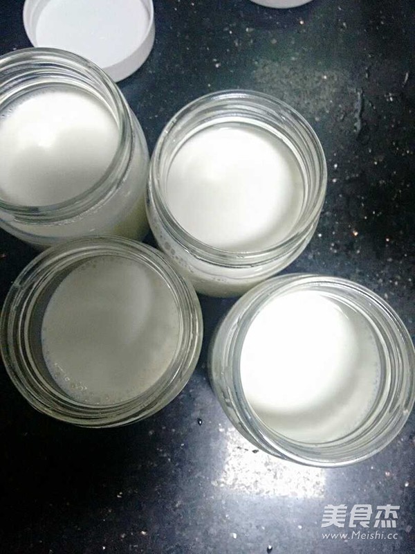 Homemade Yogurt recipe