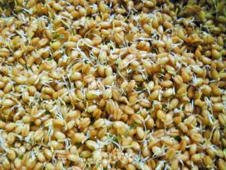 Make Yourself A Pot of Maltose recipe