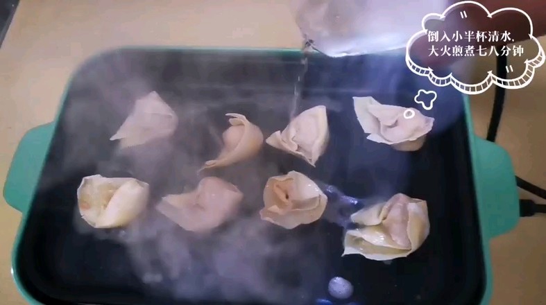 Pan Fried Wonton recipe