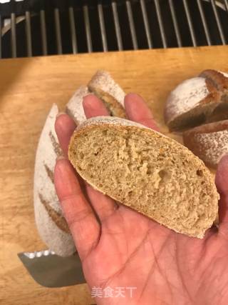 Whole Wheat Bread recipe