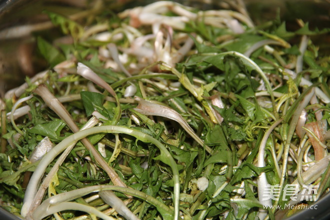 Dandelion Salad recipe