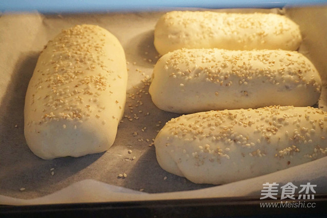 Cumin and Cilantro Bread recipe