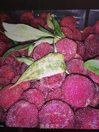 Bayberry Wine recipe