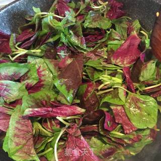 Tofu Stewed with Garlic and Amaranth recipe