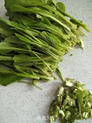 Stir-fried Pleurotus Eryngii with Cabbage recipe