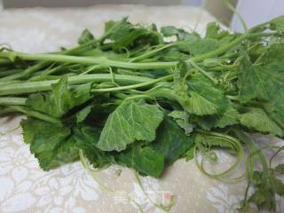 Stir-fried Pumpkin Seedlings recipe