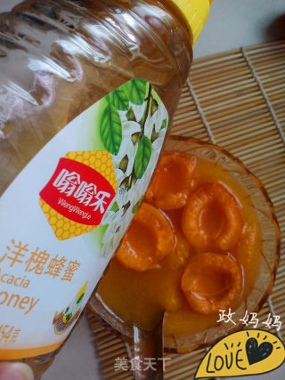 【shandong】apricots in Syrup recipe