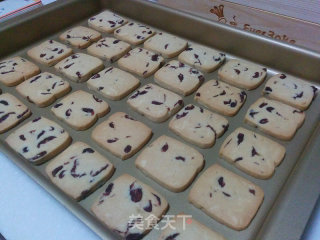 Creamy Cranberry Cookies recipe