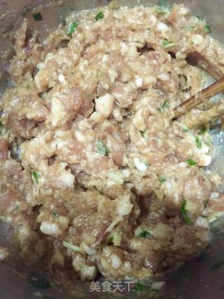 Stuffed Meat with Tiger Skin Peppers recipe