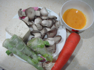 Stewed Tofu with Colored Vegetables recipe