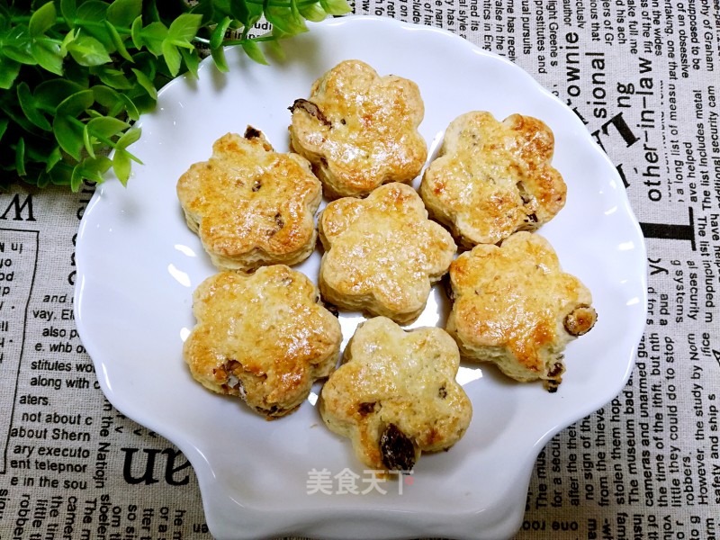 Raisin Walnut Scones-zero Failure Western-style Snacks recipe