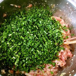 Dumplings (pork Dumplings and Leek Dumplings) recipe