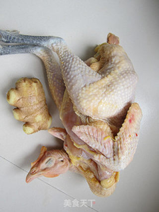 The First Nourishing Dish in Winter-ginger Sliced Chicken recipe