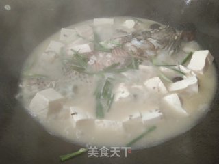 Crucian Tofu Soup recipe