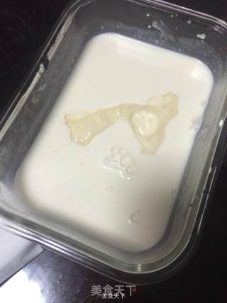 Papaya Coconut Milk Milk Jelly recipe