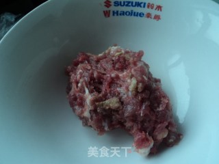 Fried Pork Dumplings recipe