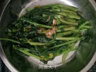Salad Greens recipe